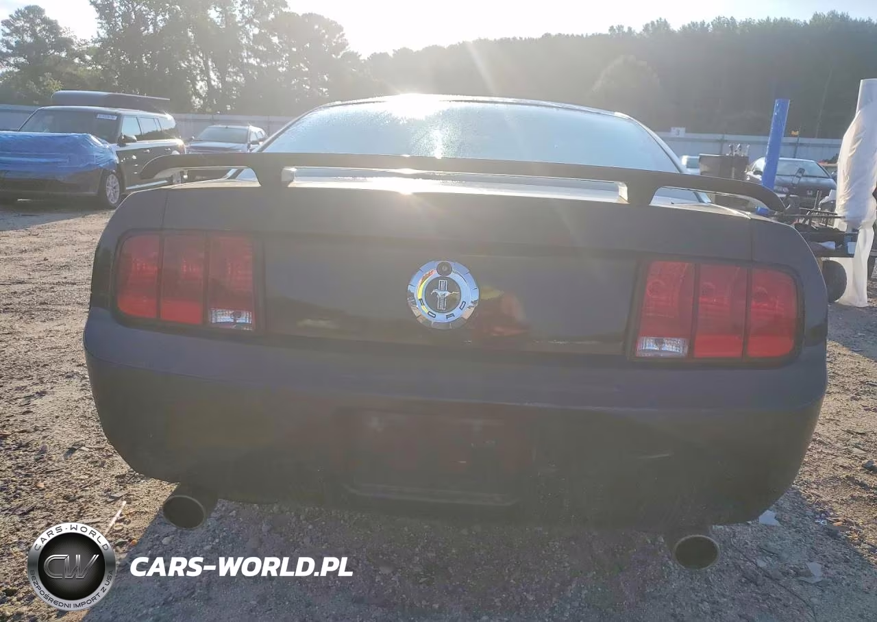 2005 Ford Mustang VIN:1ZVHT80N955259632 - 6