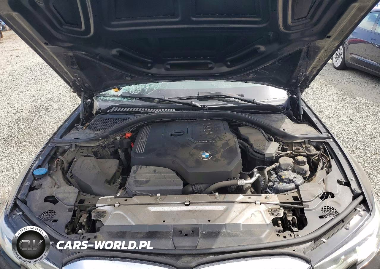 2019 BMW 330I VIN:WBA5R1C54KAK12337 - 11