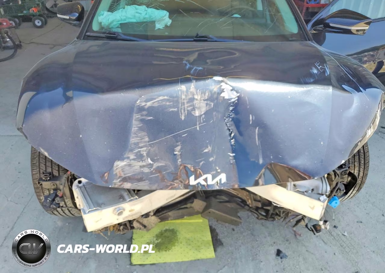 2023 Kia Ev6 Wind VIN:KNDC34LA2P5128155 - 12