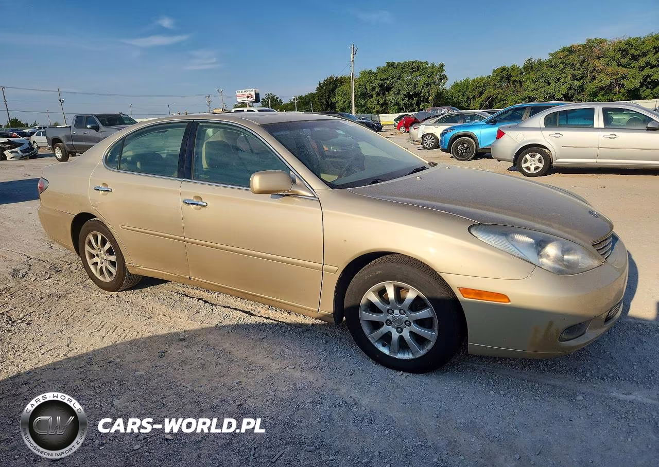 2002 Lexus Es 300 VIN:JTHBF30G520081794 - 4