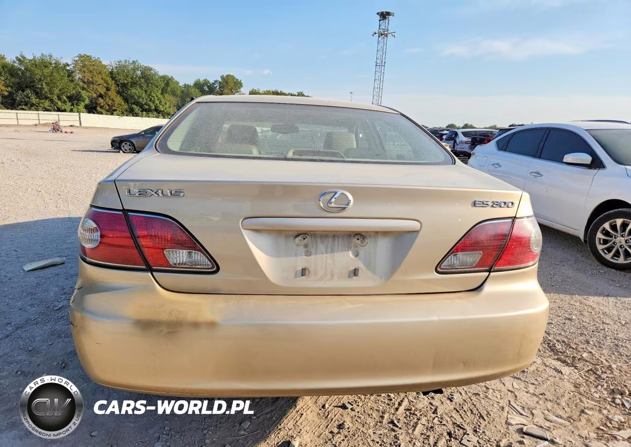 2002 Lexus Es 300 VIN:JTHBF30G520081794 - 6