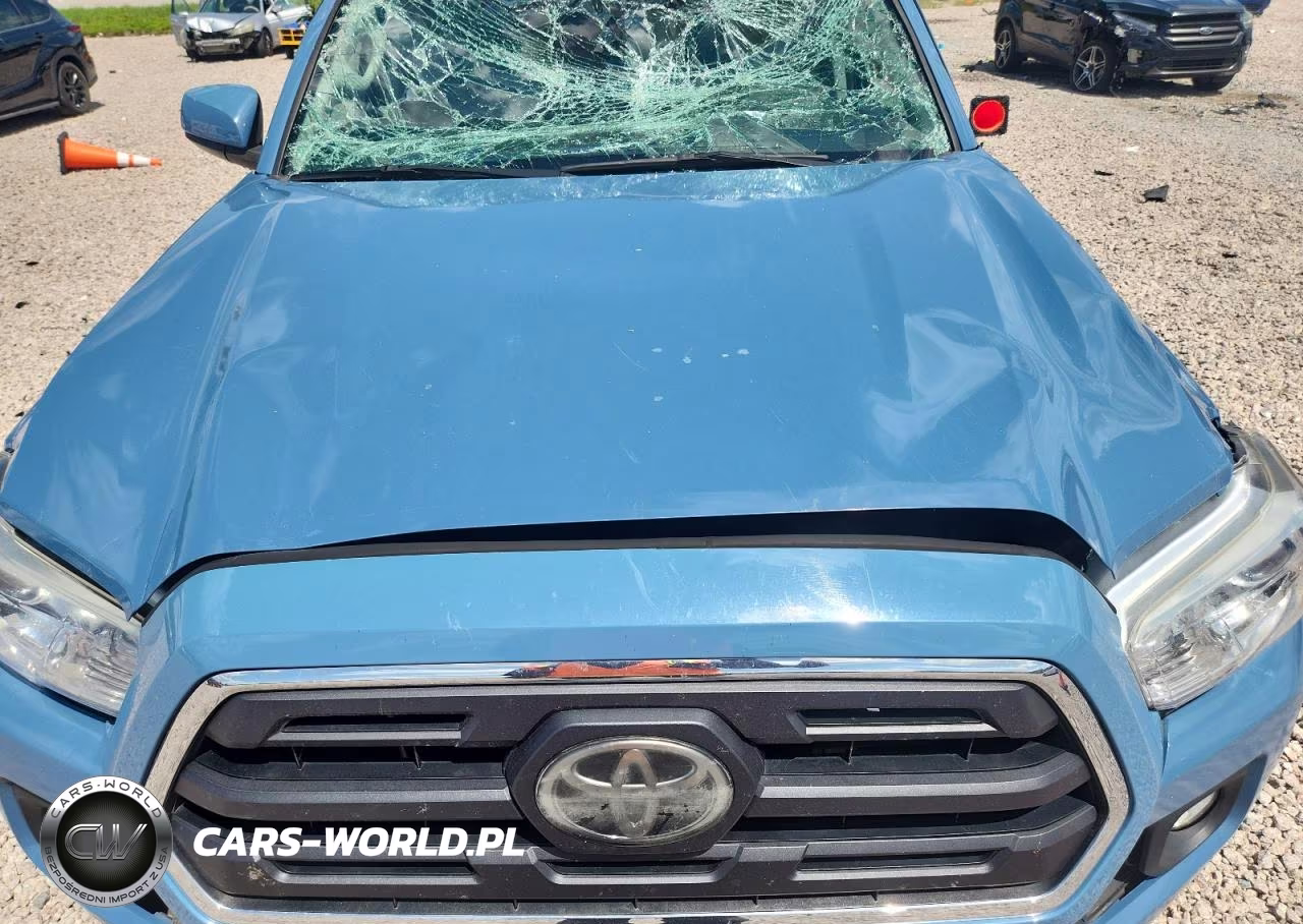 2019 Toyota Tacoma Sr5 V6 VIN:3TMCZ5AN5KM220499 - 11