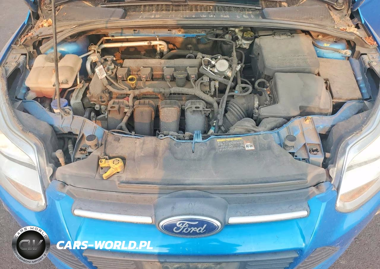 2014 Ford Focus Se VIN:1FADP3F2XEL143394 - 11