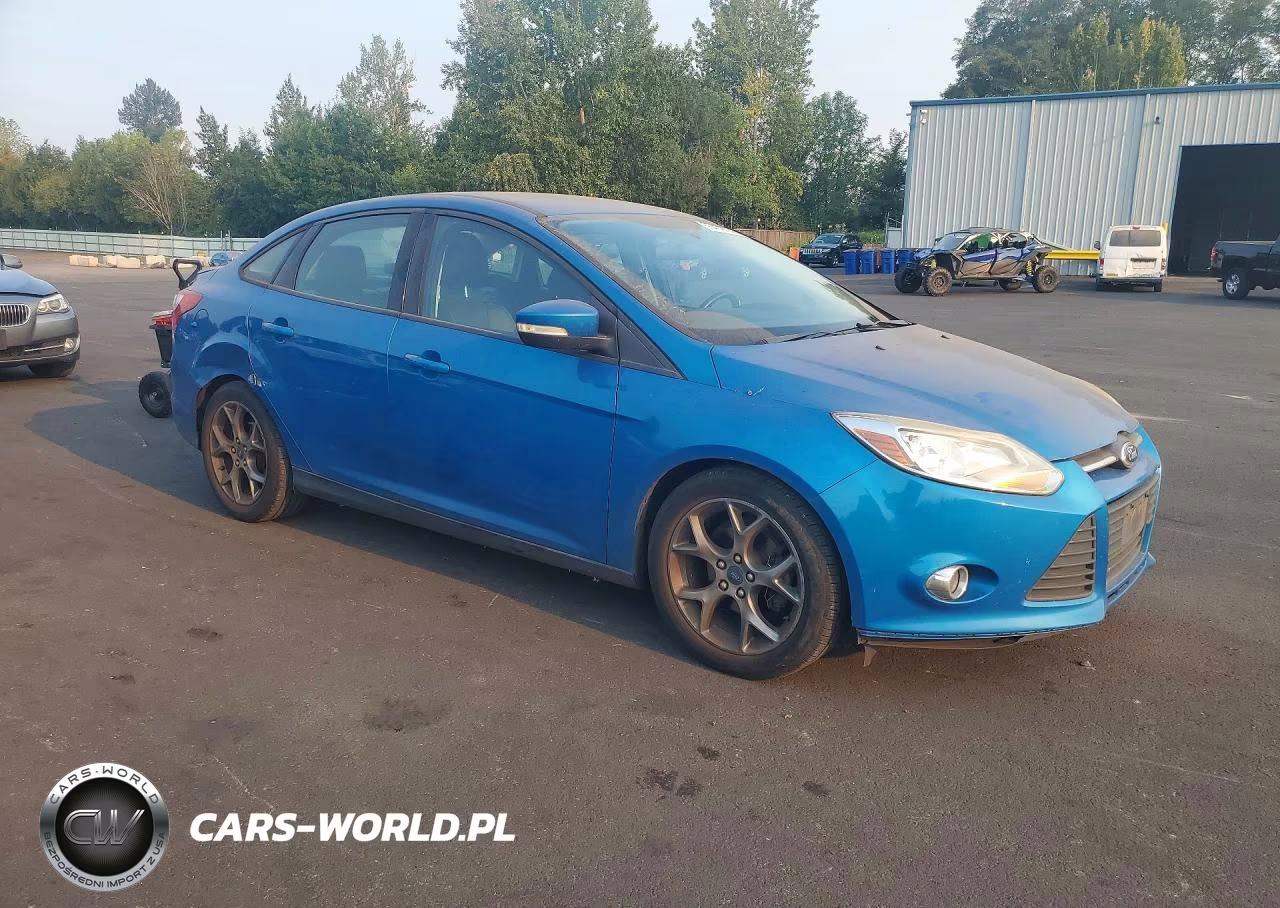 2014 Ford Focus Se VIN:1FADP3F2XEL143394 - 4