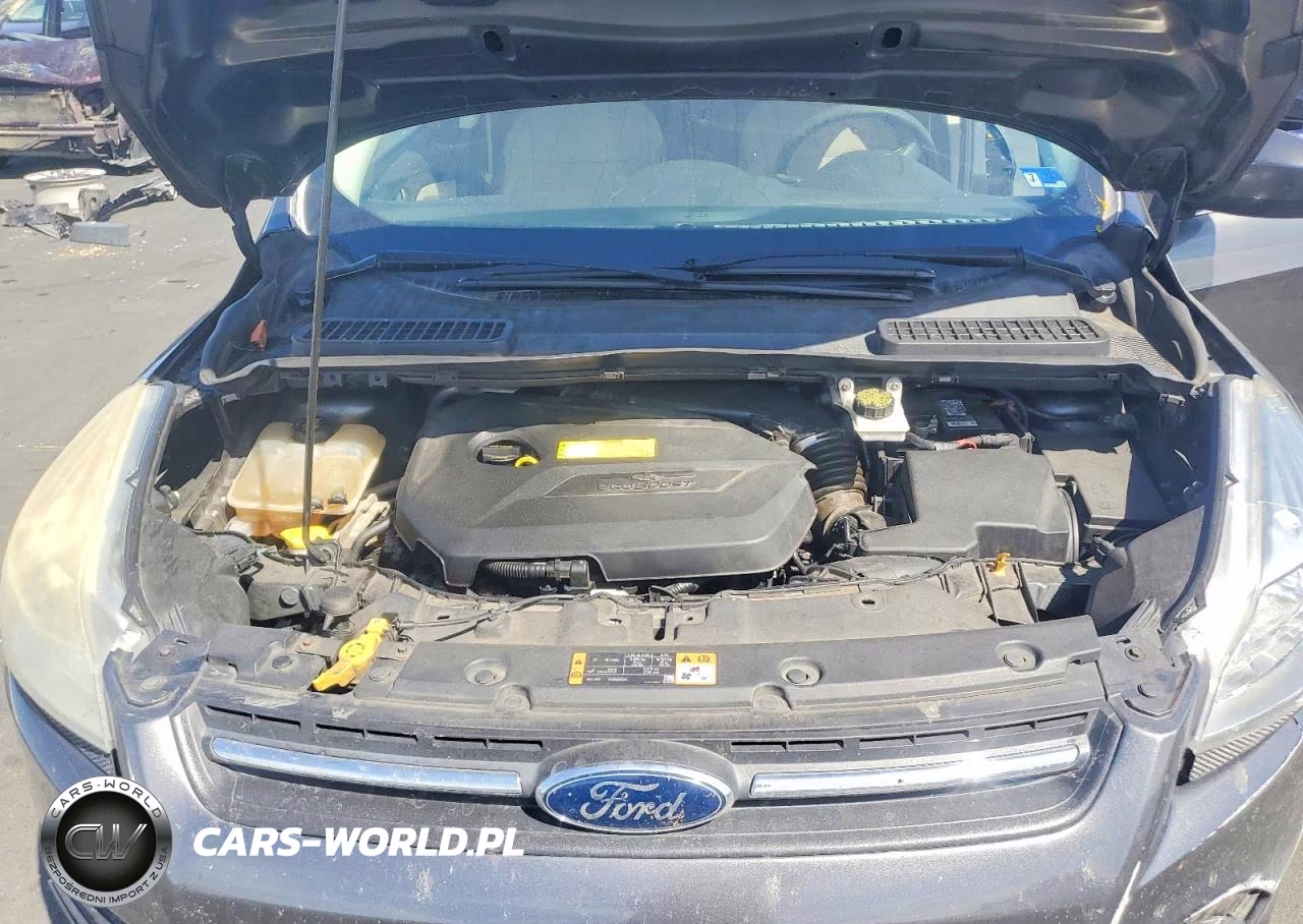 2015 Ford Escape Se VIN:1FMCU9GX4FUC10011 - 12