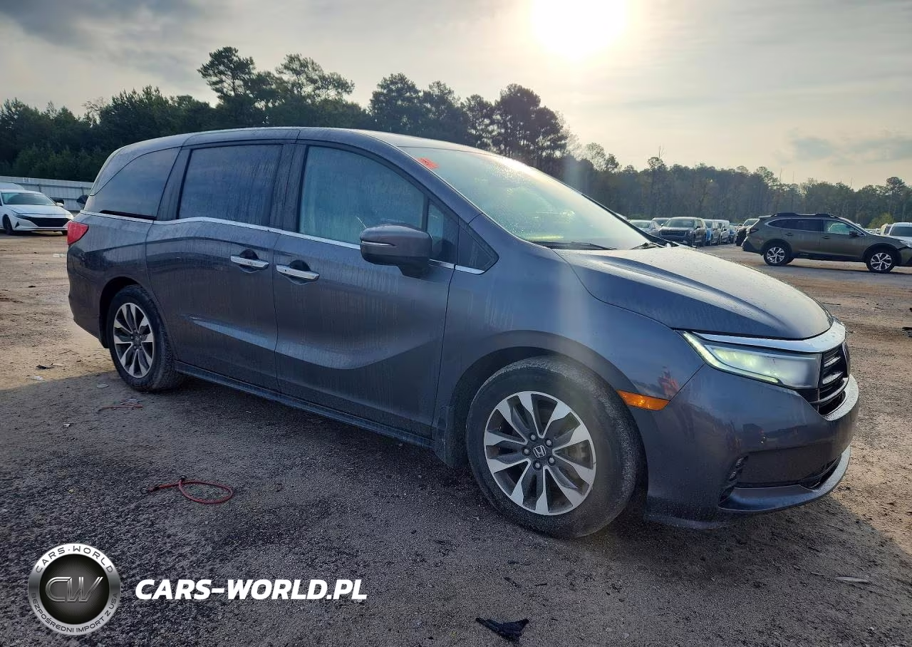 2023 Honda Odyssey Exl VIN:5FNRL6H67PB069547 - 4