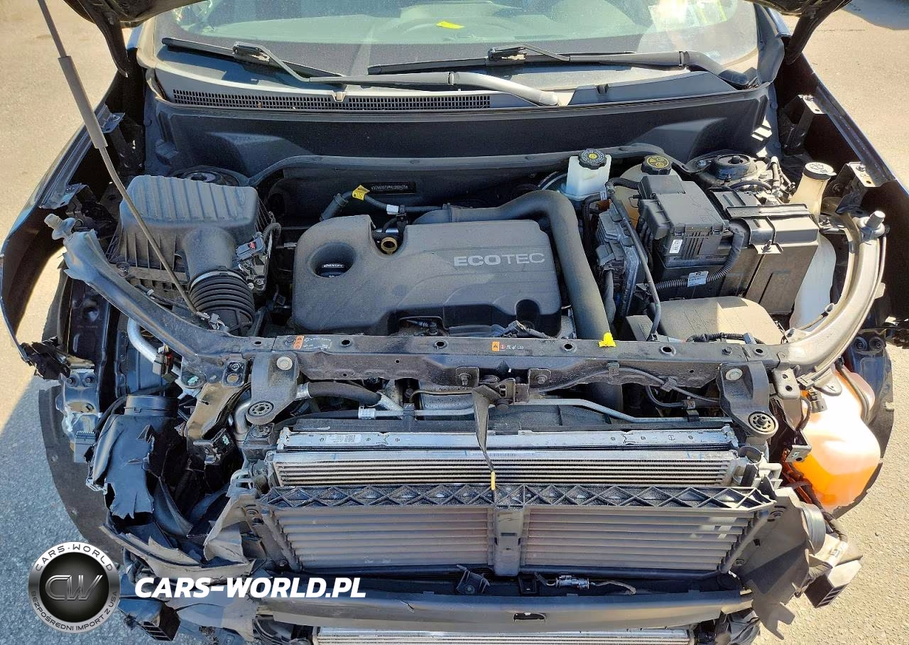 2019 Chevrolet Equinox Ls VIN:3GNAXSEV9KL288503 - 12