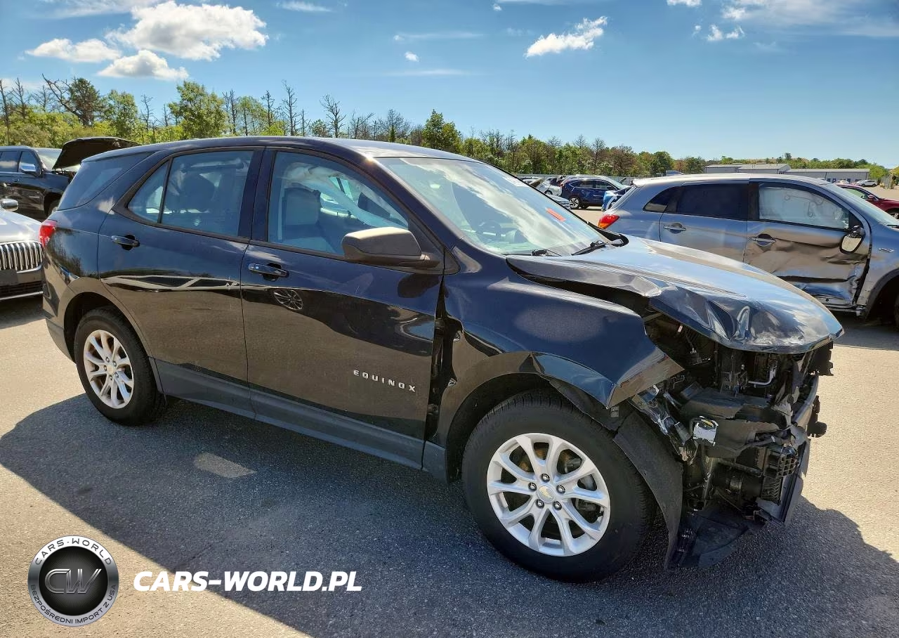 2019 Chevrolet Equinox Ls VIN:3GNAXSEV9KL288503 - 4