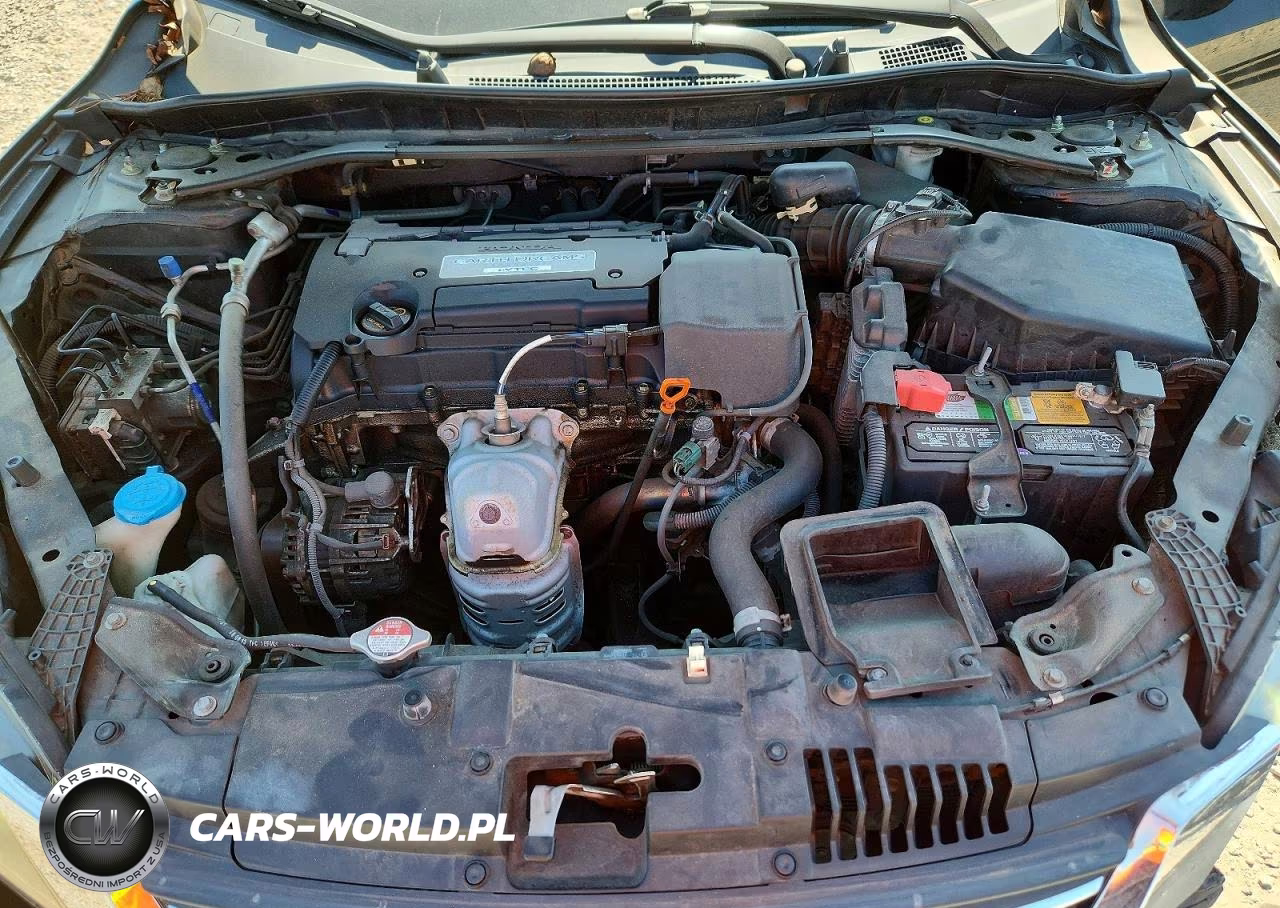 2014 Honda Accord Exl VIN:1HGCR2F84EA166987 - 11