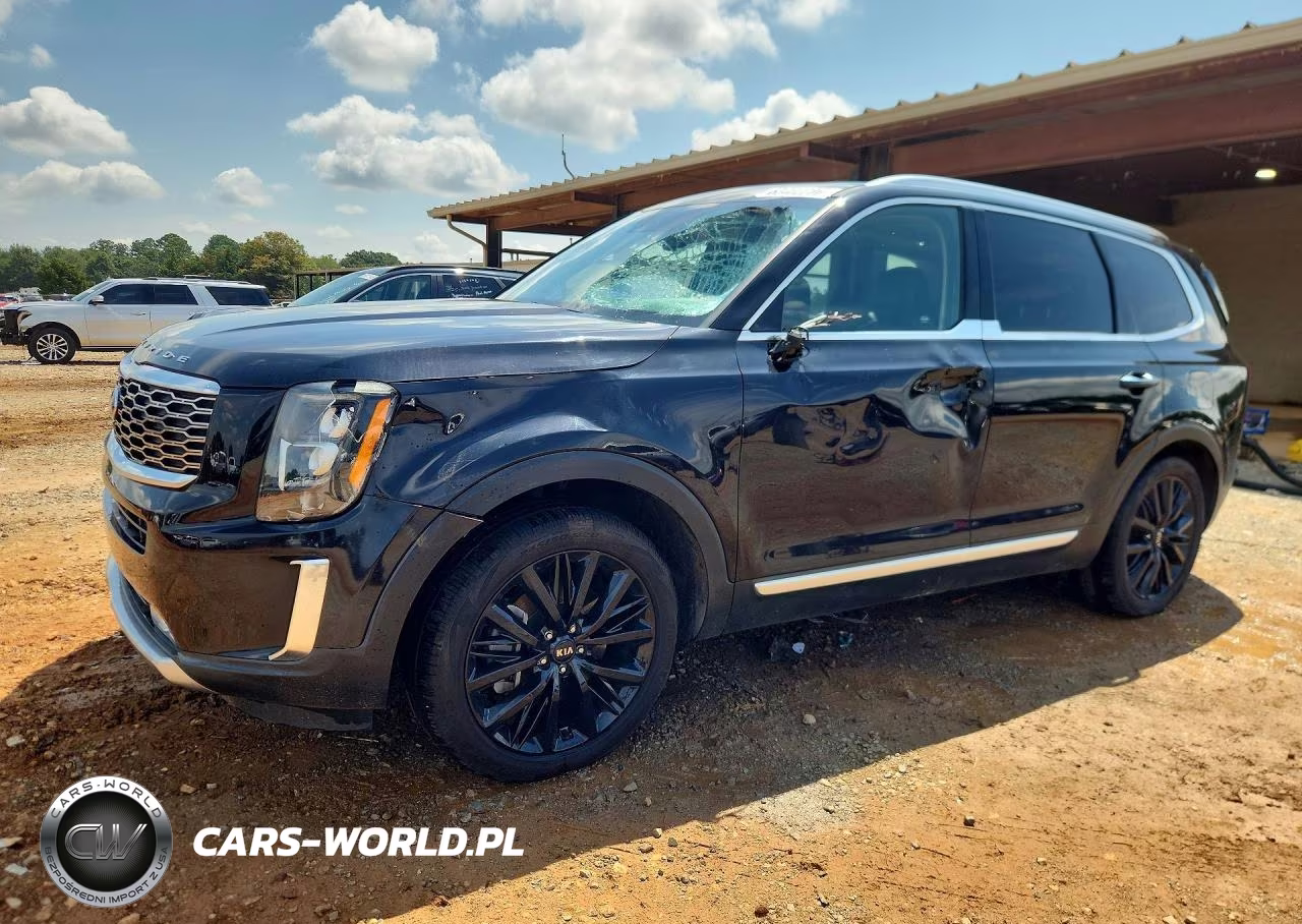 2020 Kia Telluride Sx VIN:5XYP54HC5LG039977 - 1
