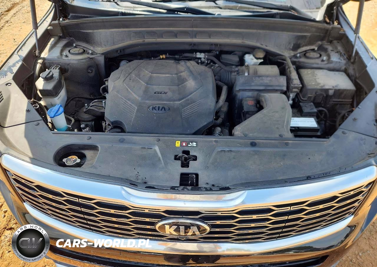 2020 Kia Telluride Sx VIN:5XYP54HC5LG039977 - 12