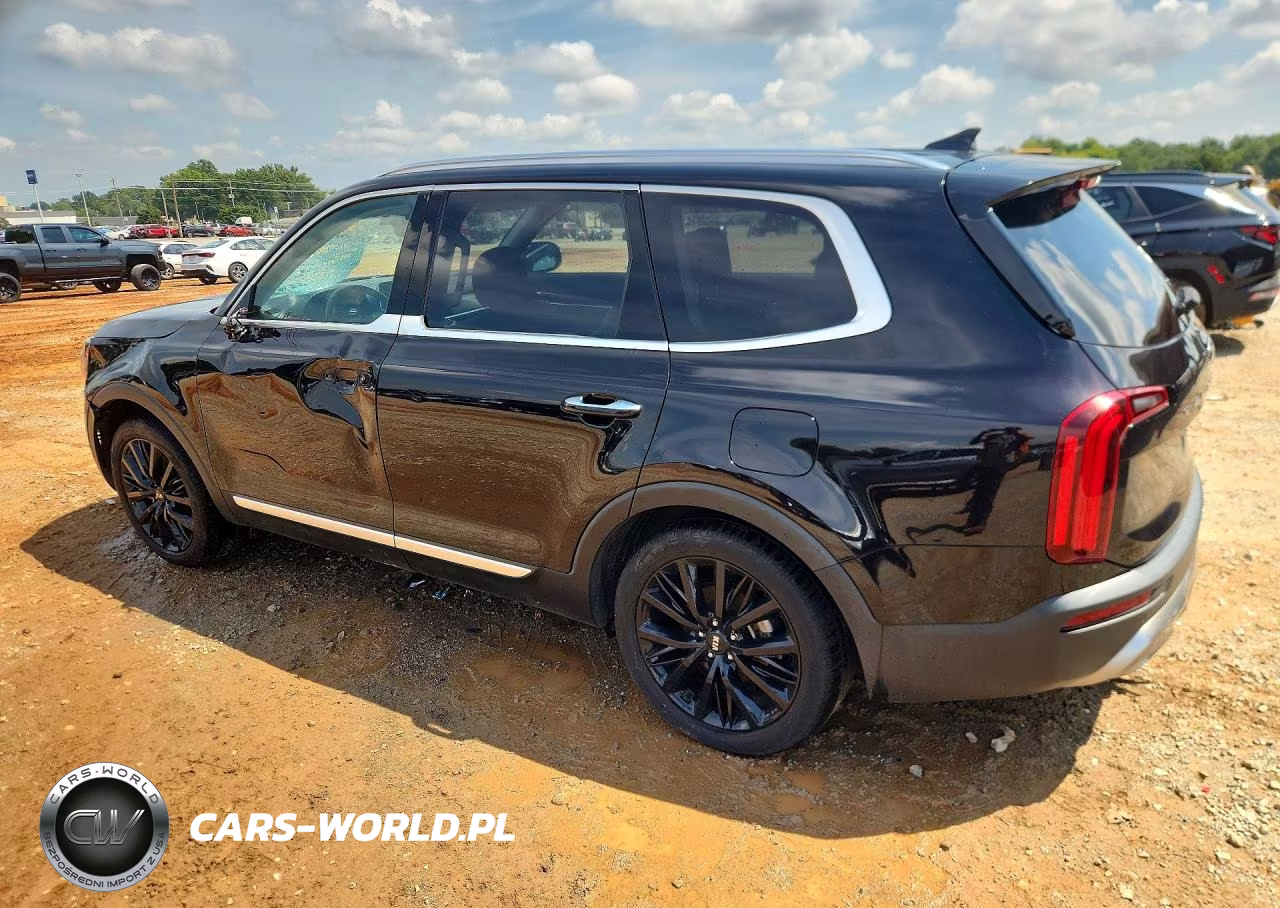 2020 Kia Telluride Sx VIN:5XYP54HC5LG039977 - 2