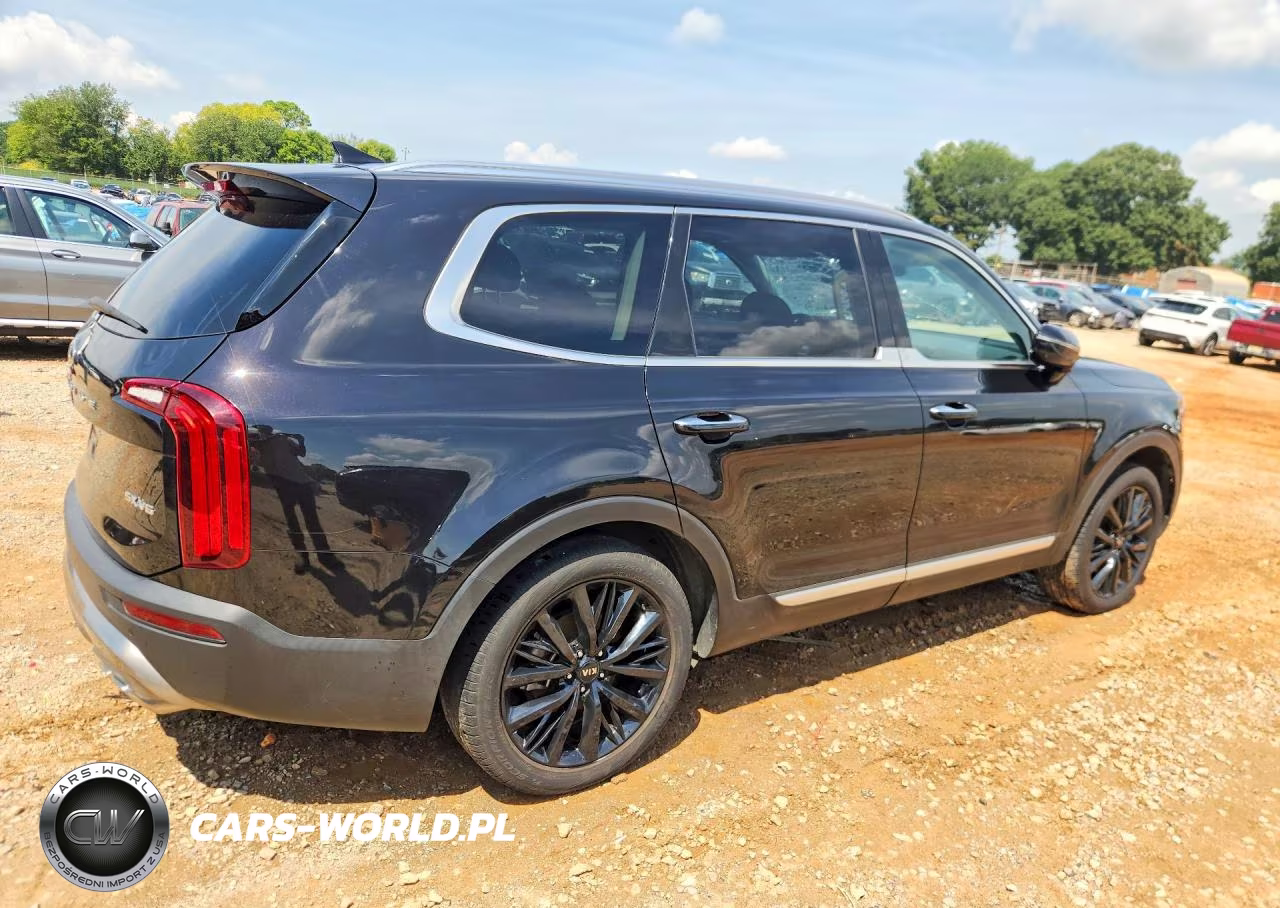 2020 Kia Telluride Sx VIN:5XYP54HC5LG039977 - 3