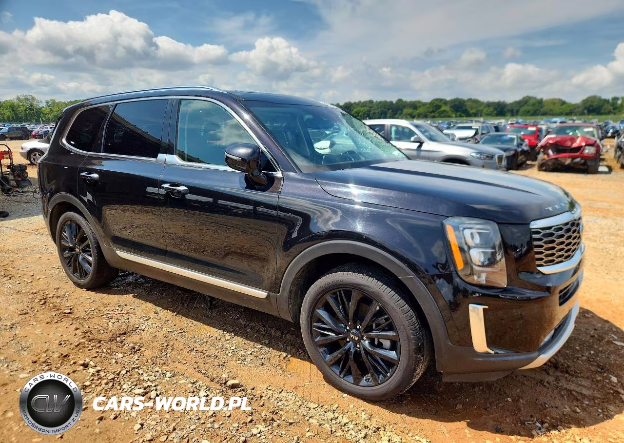 2020 Kia Telluride Sx VIN:5XYP54HC5LG039977 - 4
