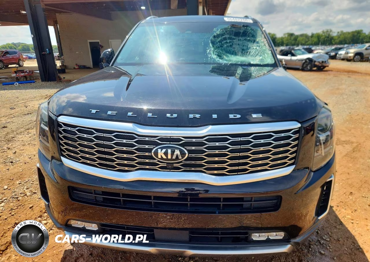 2020 Kia Telluride Sx VIN:5XYP54HC5LG039977 - 5