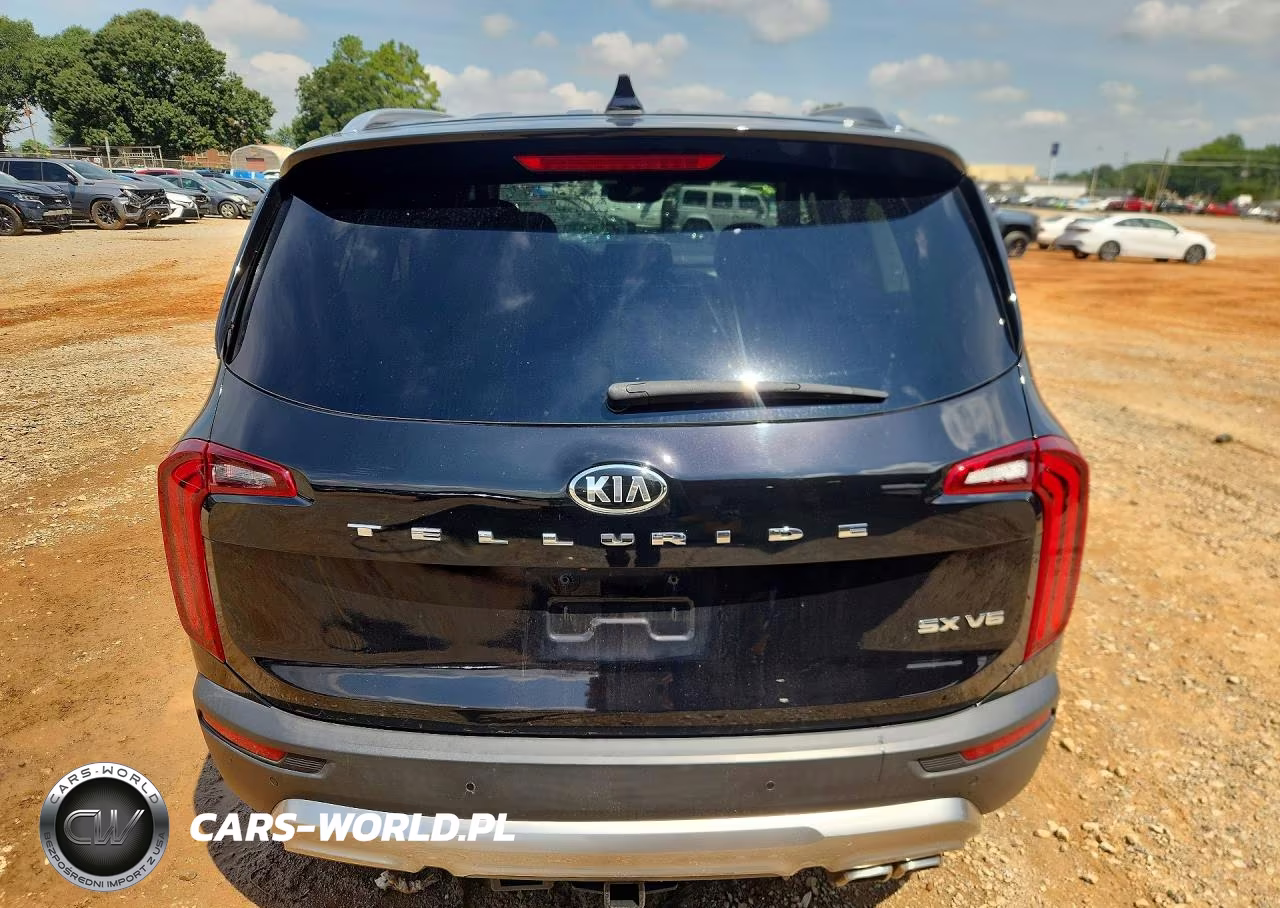 2020 Kia Telluride Sx VIN:5XYP54HC5LG039977 - 6