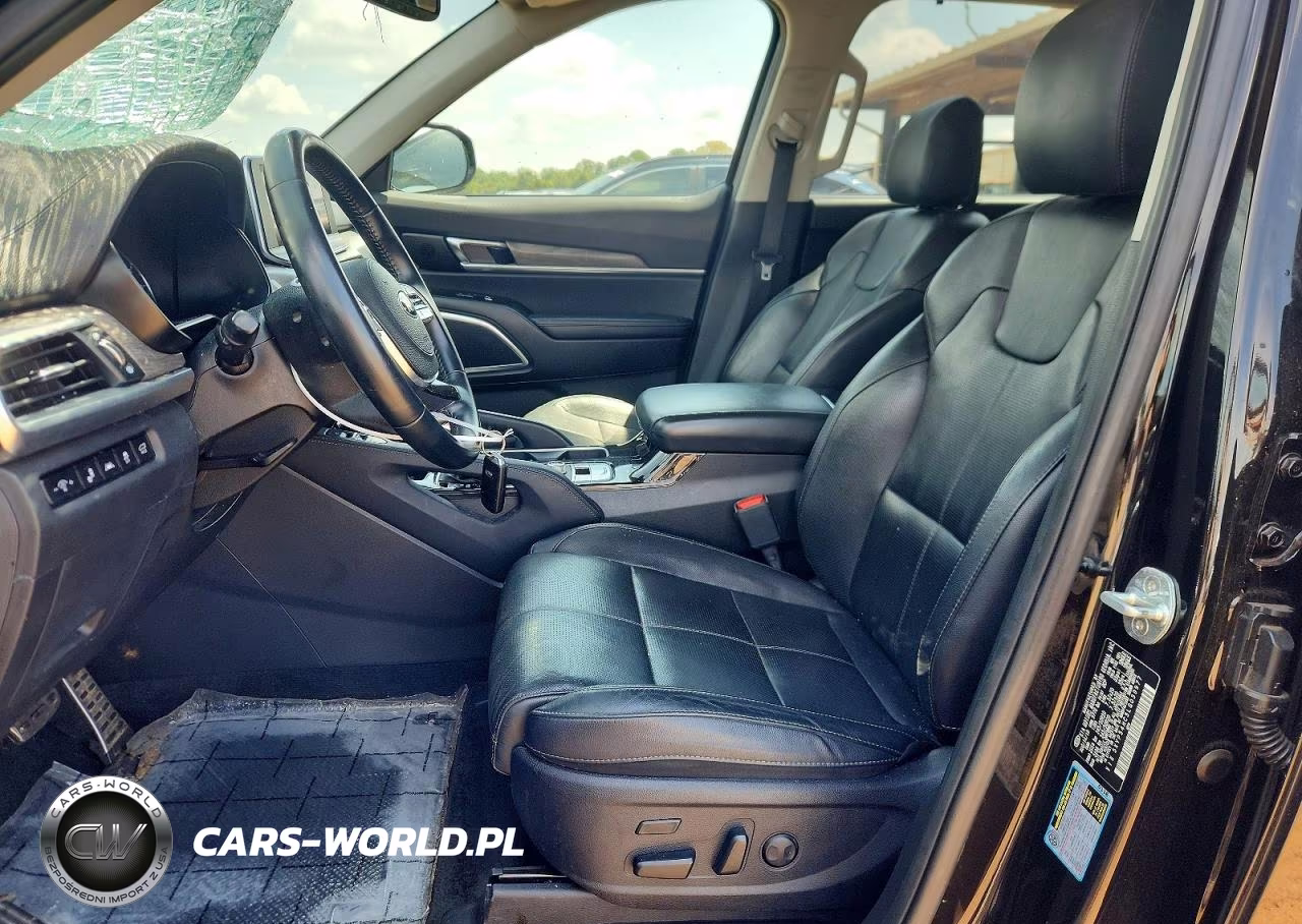 2020 Kia Telluride Sx VIN:5XYP54HC5LG039977 - 7
