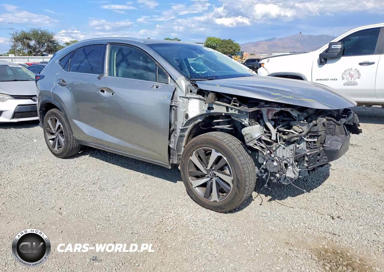 2018 Lexus Nx 300 Base VIN:JTJYARBZ0J2090849 - 4