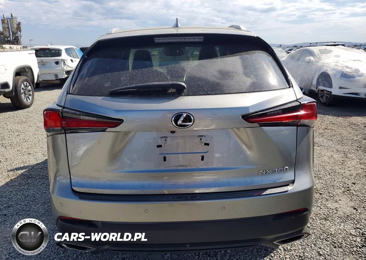 2018 Lexus Nx 300 Base VIN:JTJYARBZ0J2090849 - 6