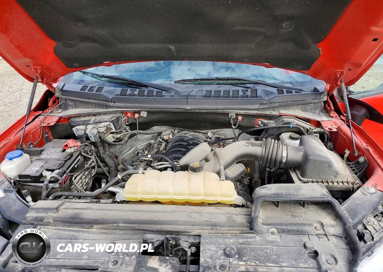 2019 Ford F150 Supercrew VIN:1FTEW1E58KFB97398 - 11