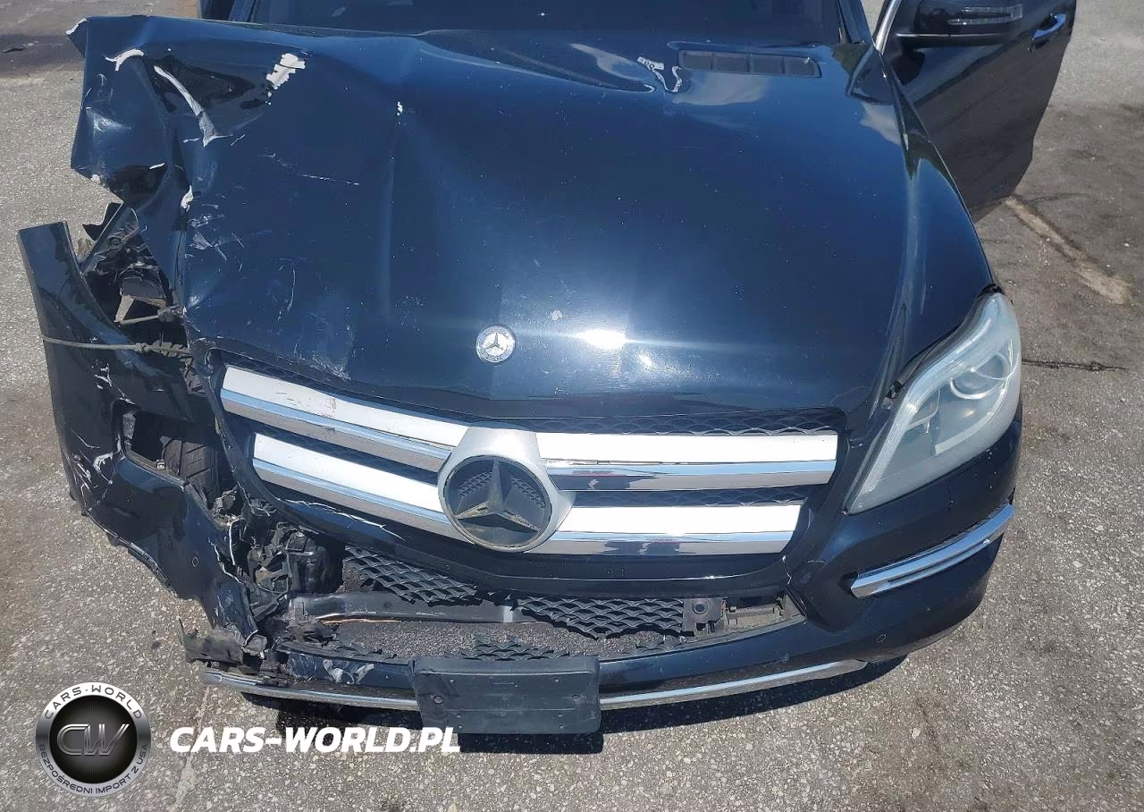 2014 Mercedes-Benz Gl 350 Bluetec VIN:4JGDF2EE5EA334067 - 12