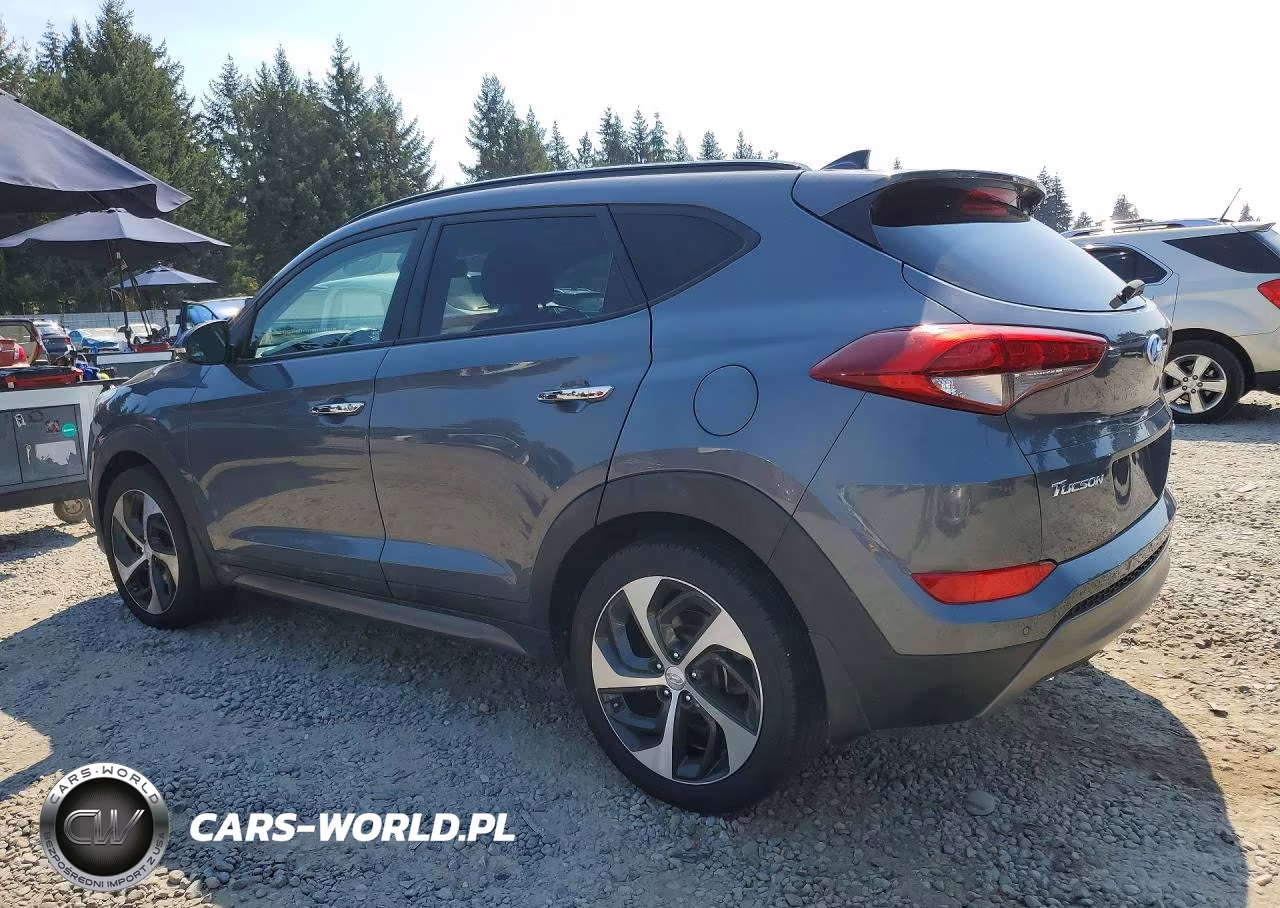 2016 Hyundai Tucson Limited VIN:KM8J3CA26GU224823 - 2