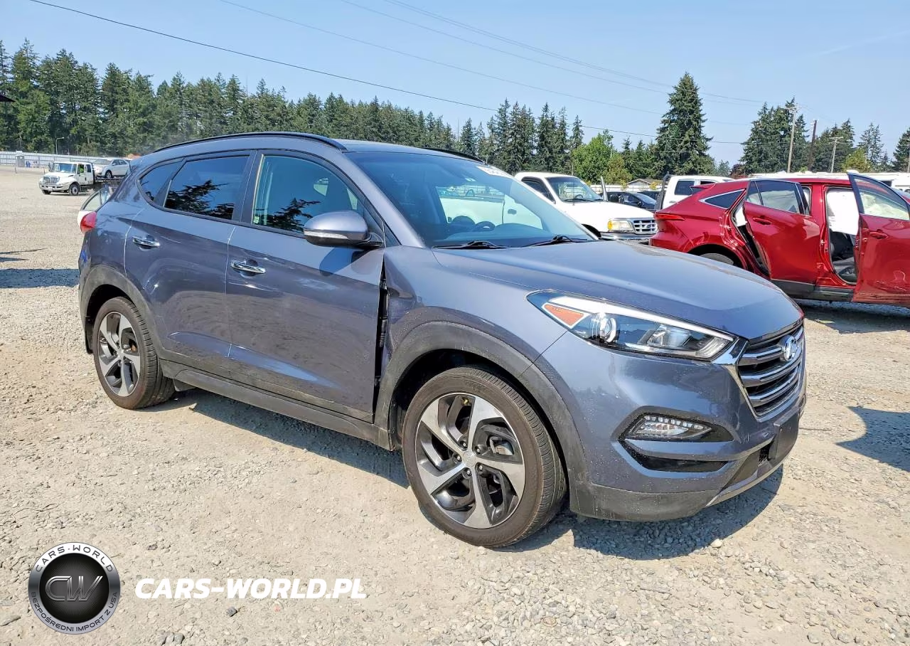 2016 Hyundai Tucson Limited VIN:KM8J3CA26GU224823 - 4