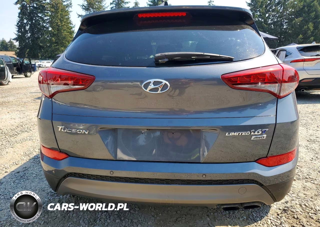 2016 Hyundai Tucson Limited VIN:KM8J3CA26GU224823 - 6