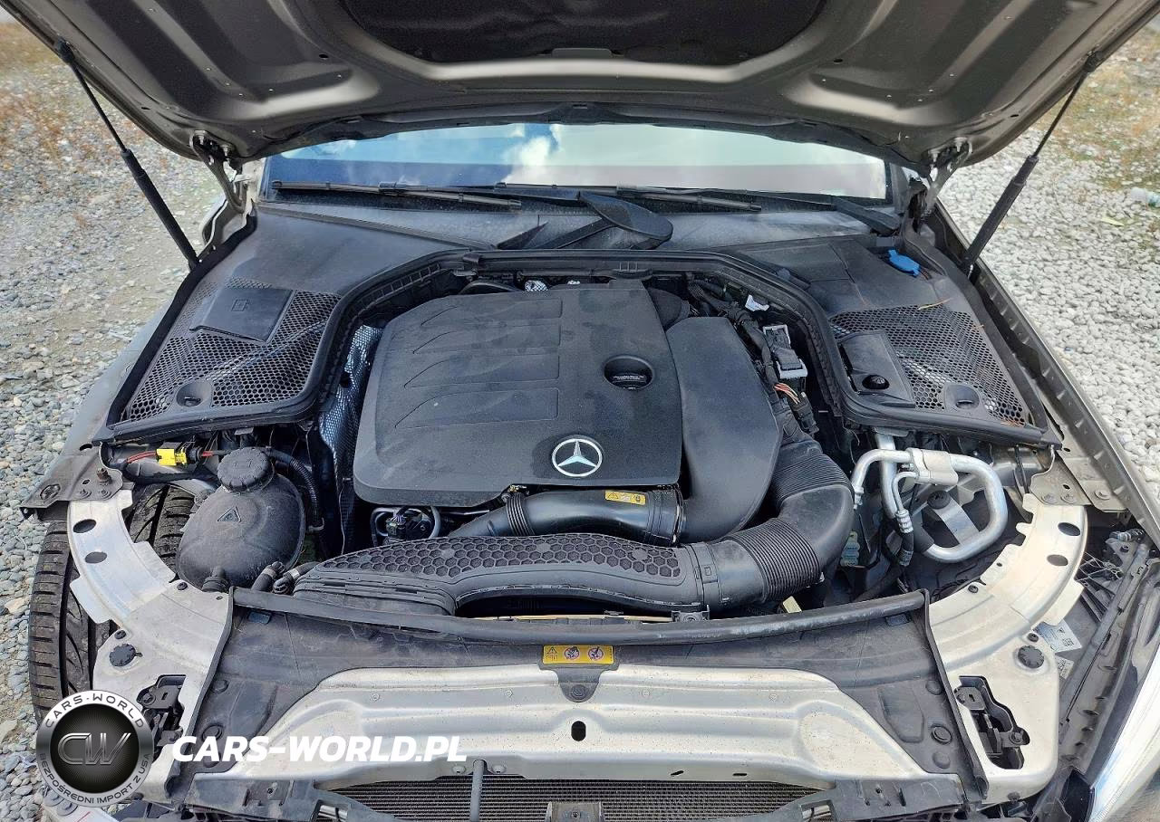 2019 Mercedes-Benz C 300 VIN:55SWF8DB1KU302046 - 11