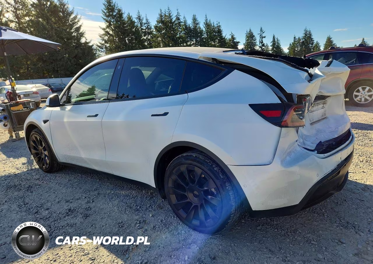 2022 Tesla Model Y VIN:7SAYGAEE4NF491998 - 2