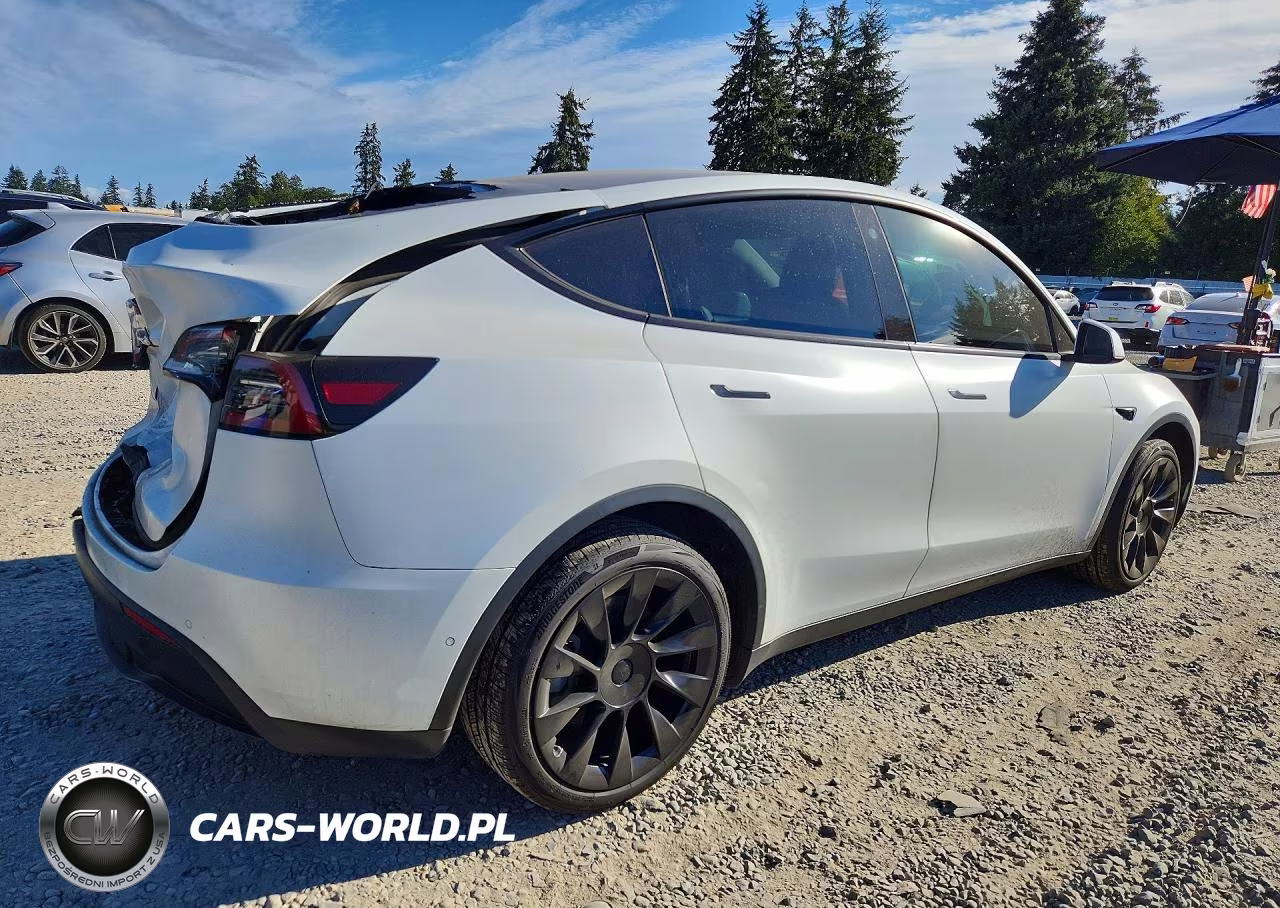 2022 Tesla Model Y VIN:7SAYGAEE4NF491998 - 3