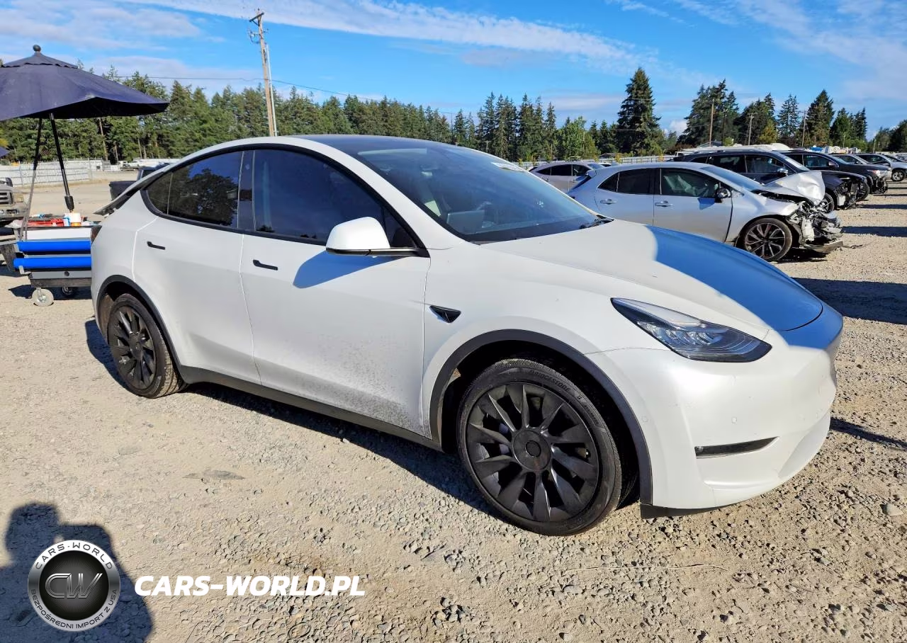 2022 Tesla Model Y VIN:7SAYGAEE4NF491998 - 4