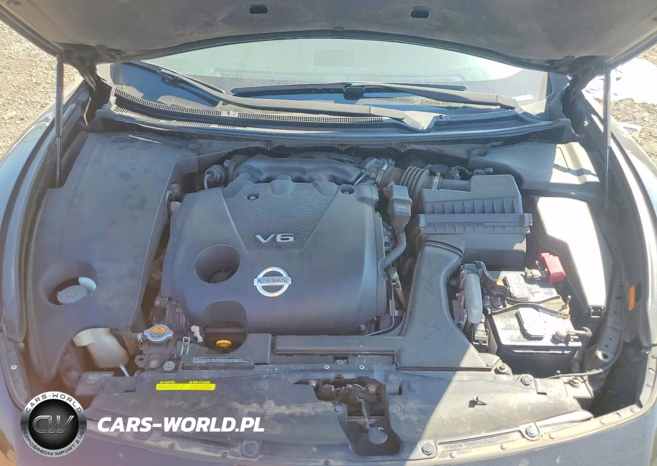 2009 Nissan Maxima 3.5 S VIN:1N4AA51E69C834297 - 11