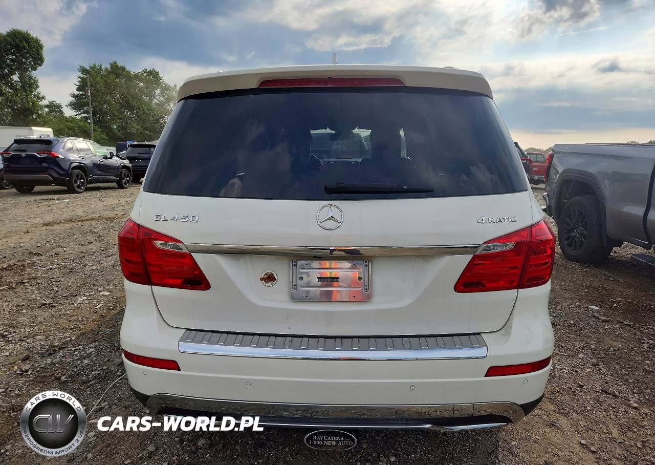 2013 Mercedes-Benz Gl 450 4Matic VIN:4JGDF7CE1DA156642 - 6