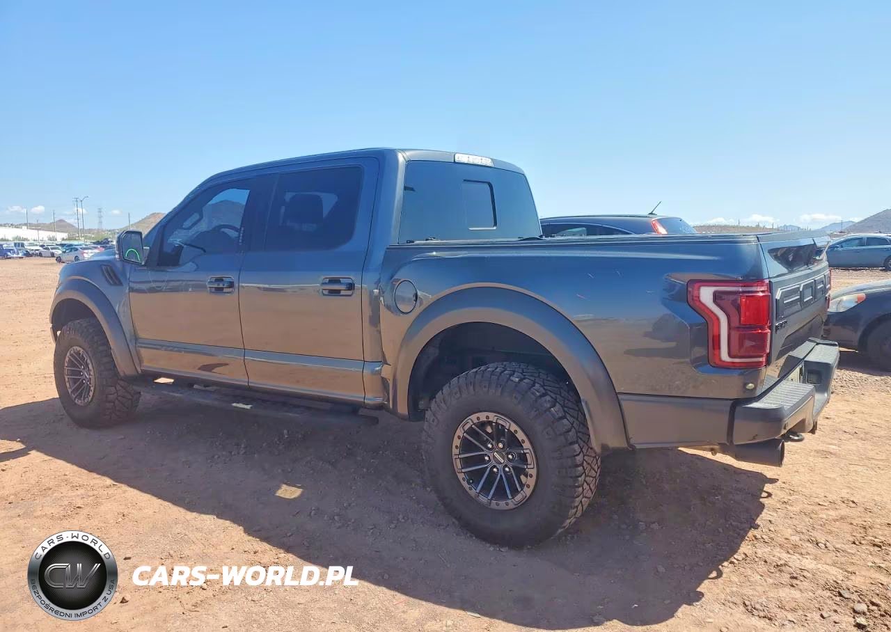 2020 Ford F150 Raptor VIN:1FTFW1RG8LFB34884 - 2