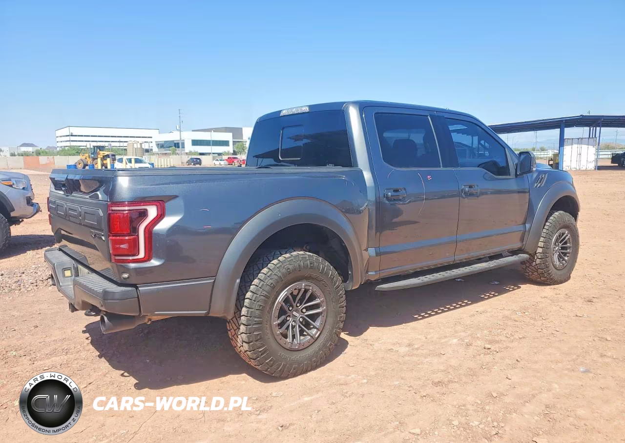 2020 Ford F150 Raptor VIN:1FTFW1RG8LFB34884 - 3