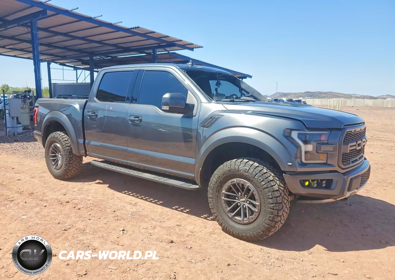 2020 Ford F150 Raptor VIN:1FTFW1RG8LFB34884 - 4