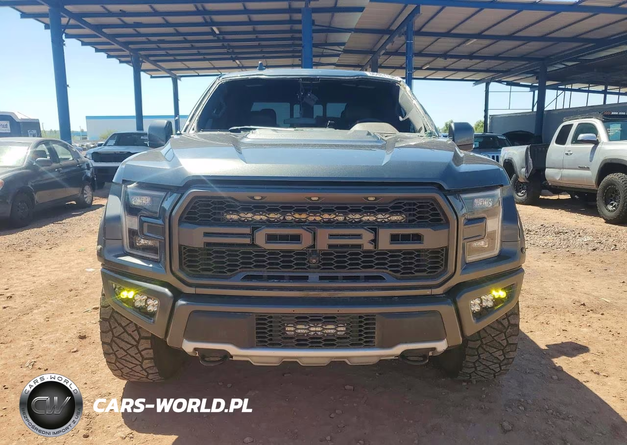 2020 Ford F150 Raptor VIN:1FTFW1RG8LFB34884 - 5