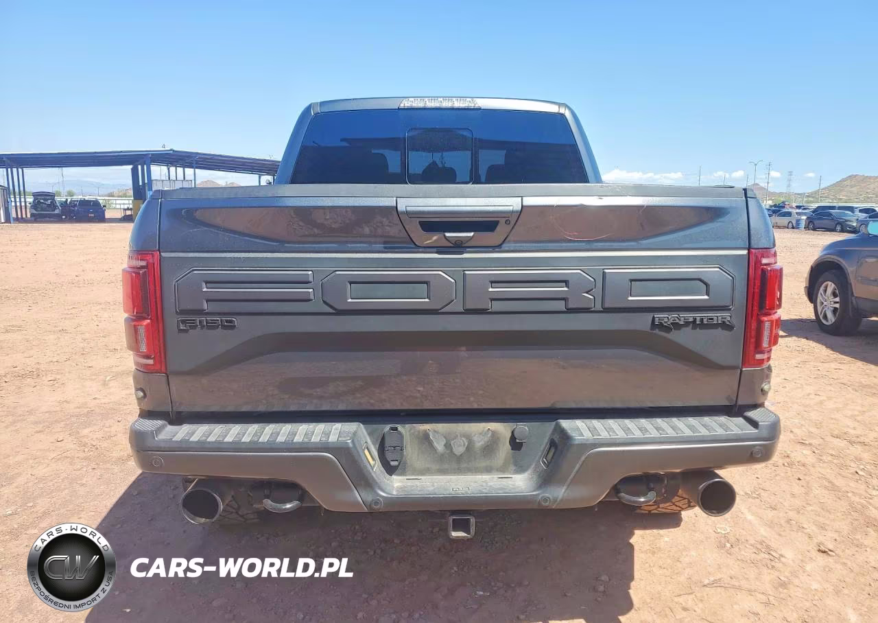 2020 Ford F150 Raptor VIN:1FTFW1RG8LFB34884 - 6