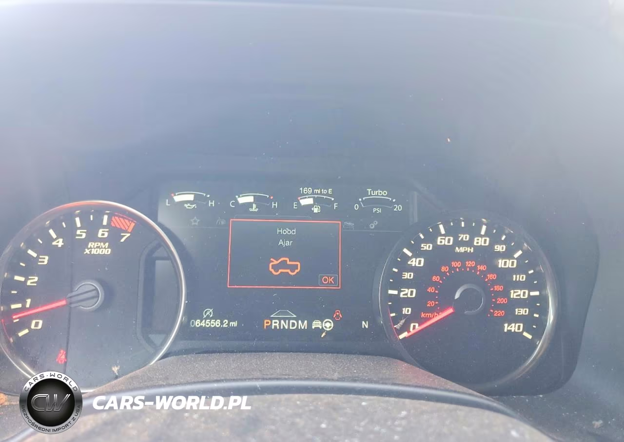2020 Ford F150 Raptor VIN:1FTFW1RG8LFB34884 - 9