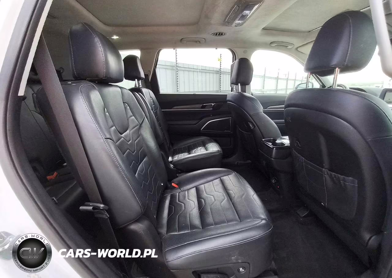 2021 Kia Telluride Sx VIN:5XYP5DHC2MG118671 - 11