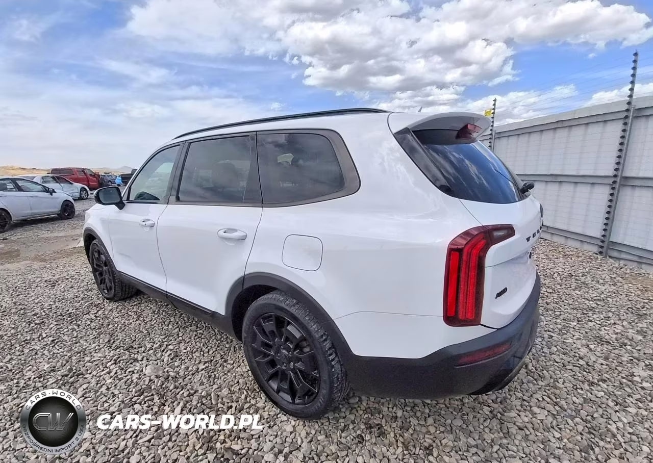 2021 Kia Telluride Sx VIN:5XYP5DHC2MG118671 - 2