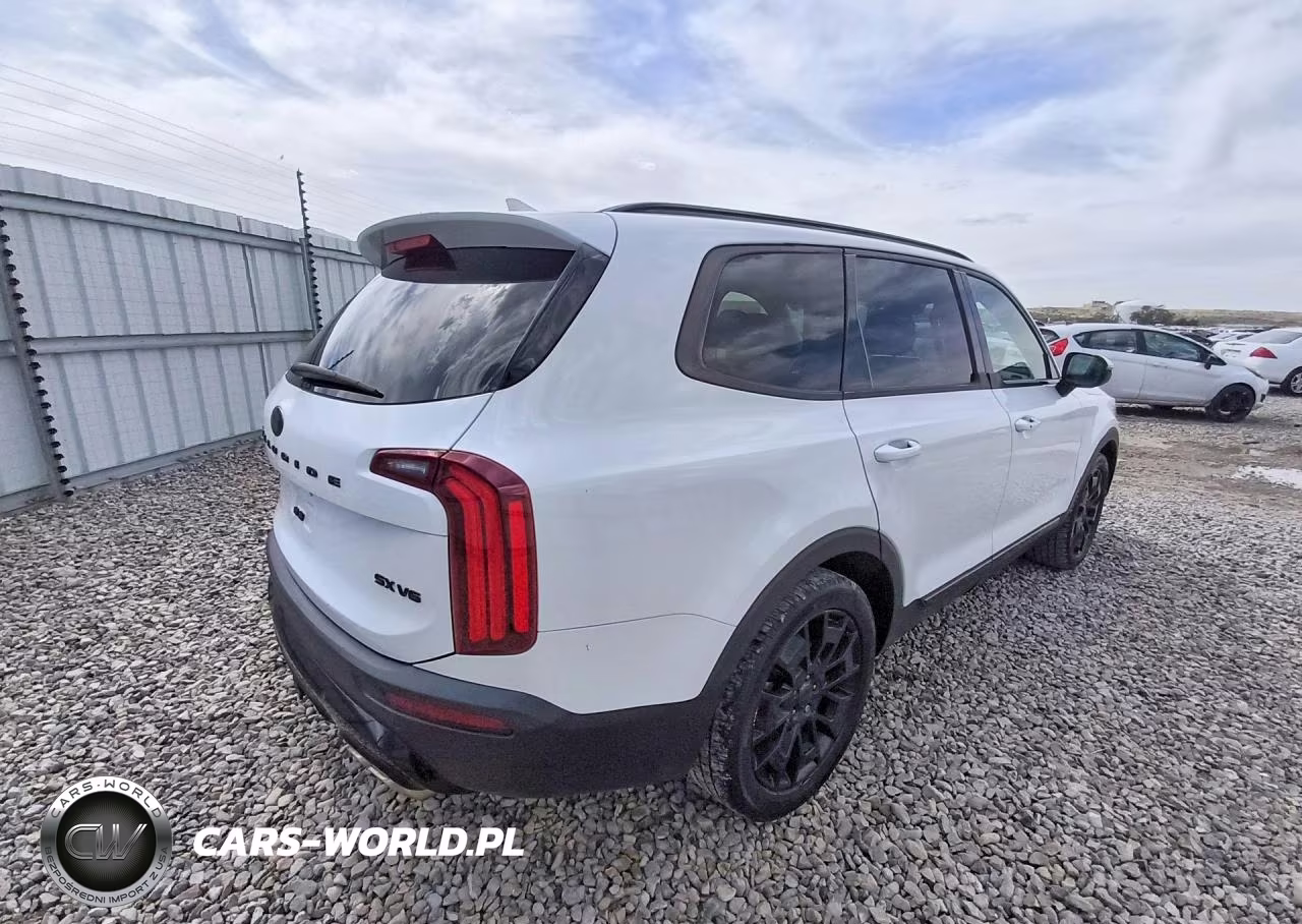 2021 Kia Telluride Sx VIN:5XYP5DHC2MG118671 - 3
