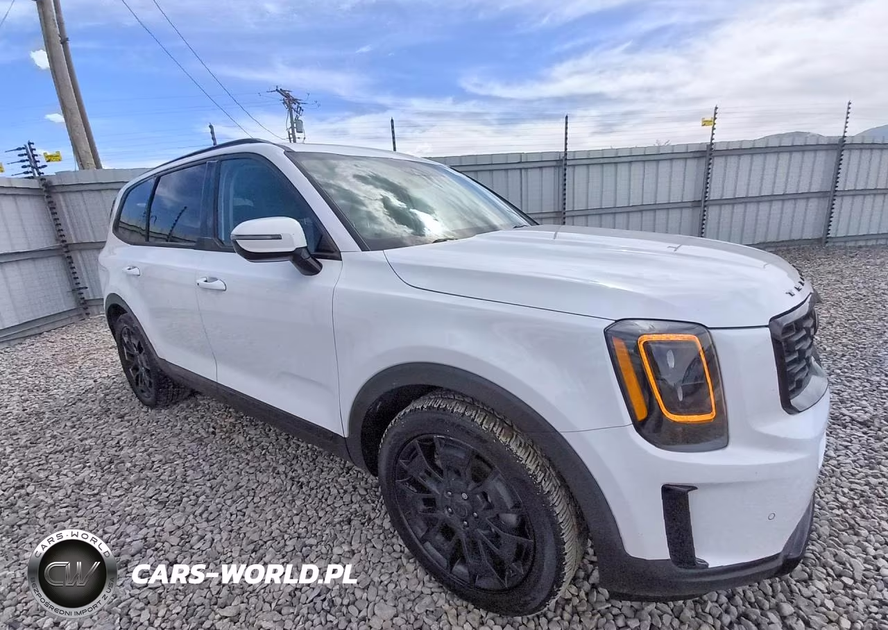 2021 Kia Telluride Sx VIN:5XYP5DHC2MG118671 - 4