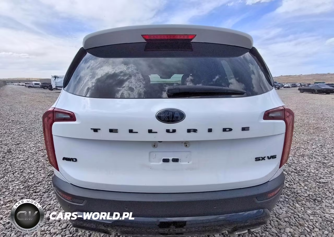 2021 Kia Telluride Sx VIN:5XYP5DHC2MG118671 - 6