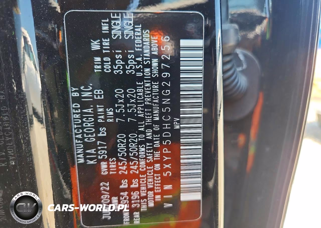 2022 Kia Telluride Sx VIN:5XYP5DHC5NG297256 - 13