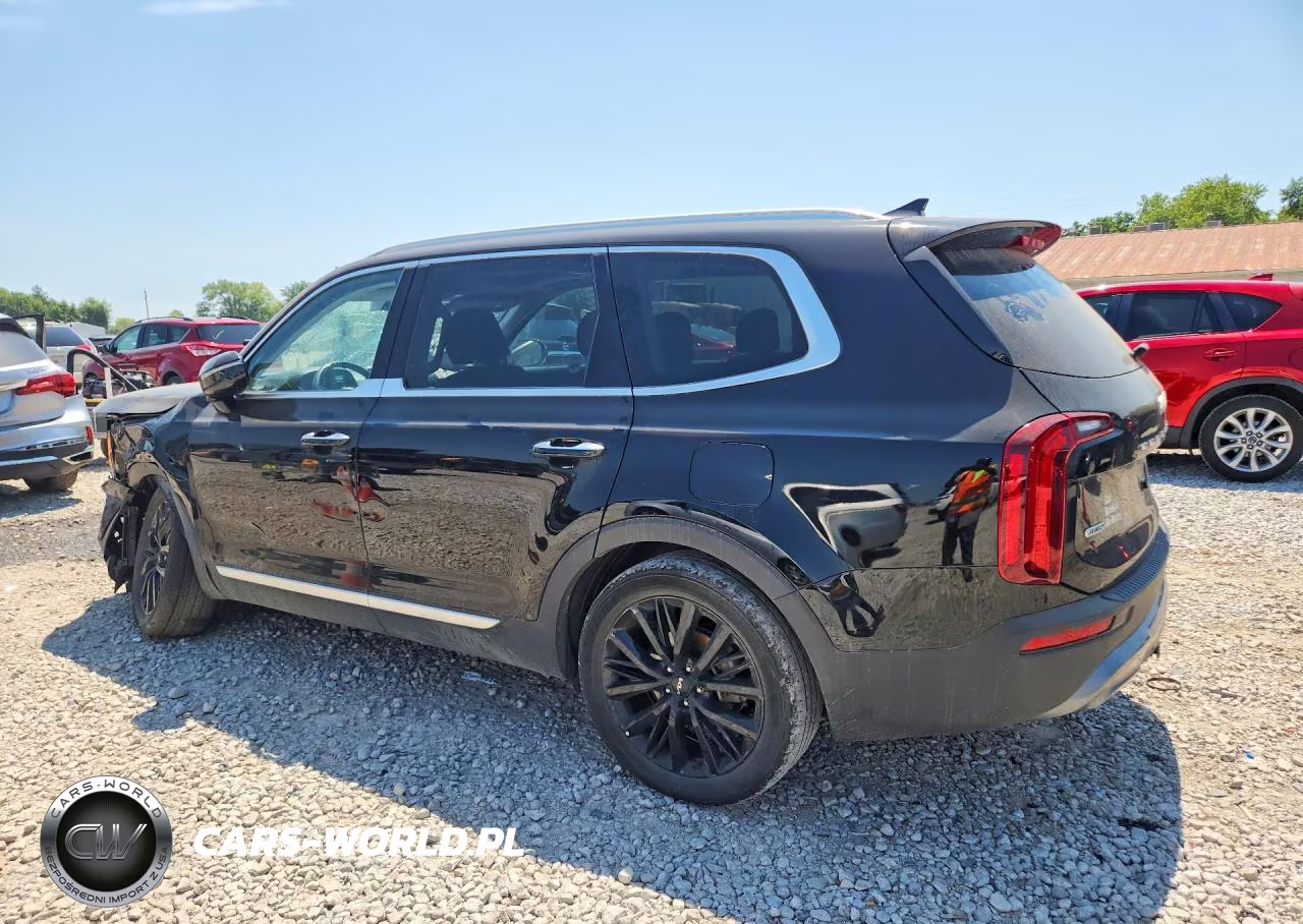 2022 Kia Telluride Sx VIN:5XYP5DHC5NG297256 - 2
