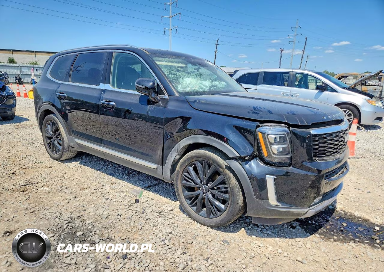 2022 Kia Telluride Sx VIN:5XYP5DHC5NG297256 - 4