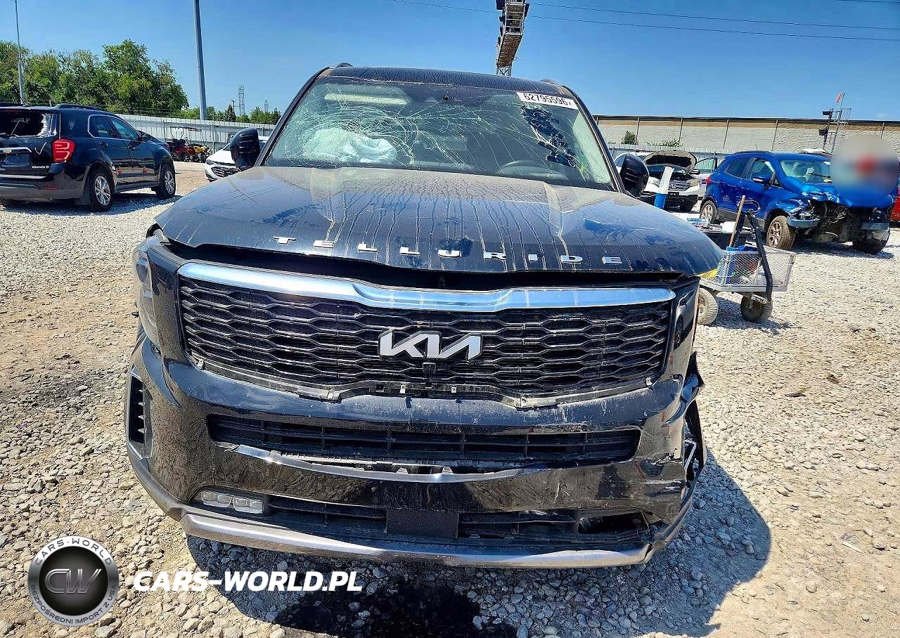 2022 Kia Telluride Sx VIN:5XYP5DHC5NG297256 - 5