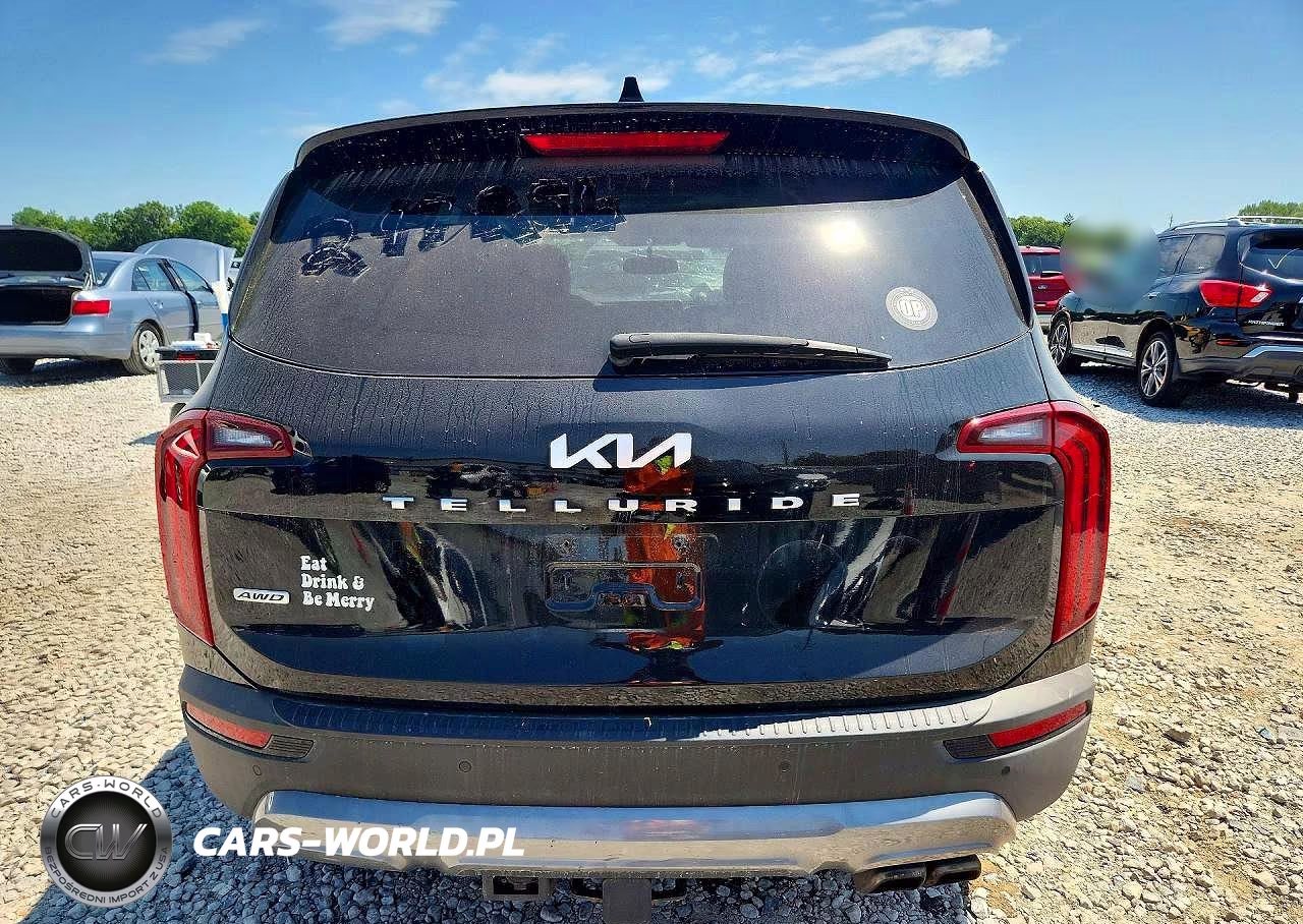 2022 Kia Telluride Sx VIN:5XYP5DHC5NG297256 - 6